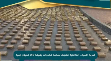 ضربة أمنية.. الداخلية تضبط شحنة مخدرات بقيمة 250 مليون جنيه